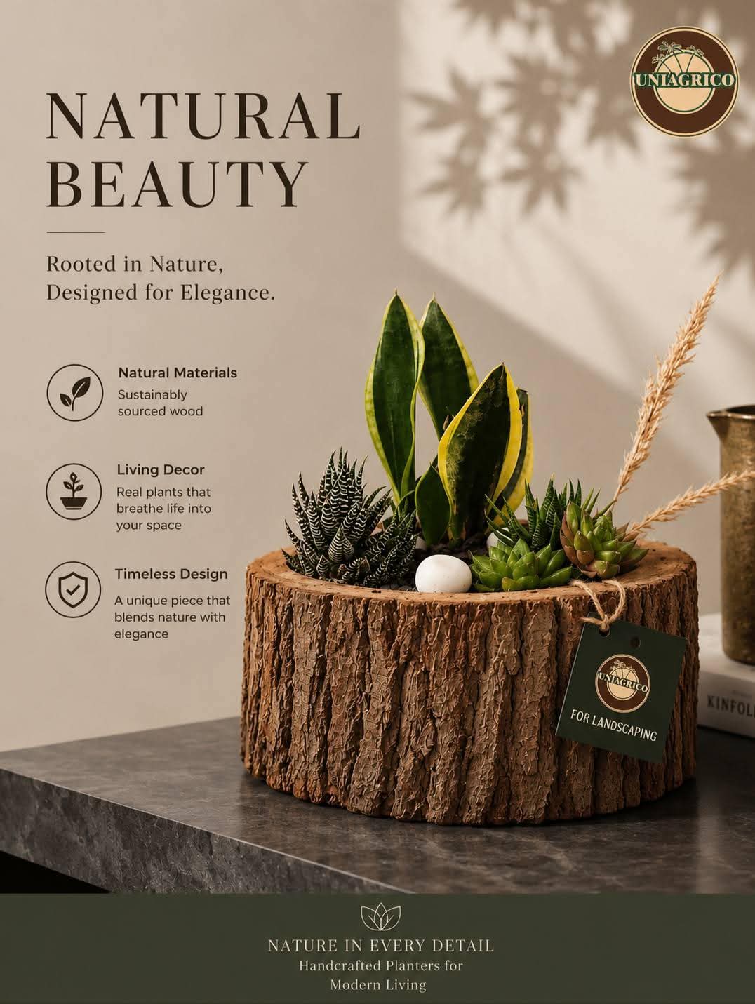 Natural tree-trunk planter with succulent plants