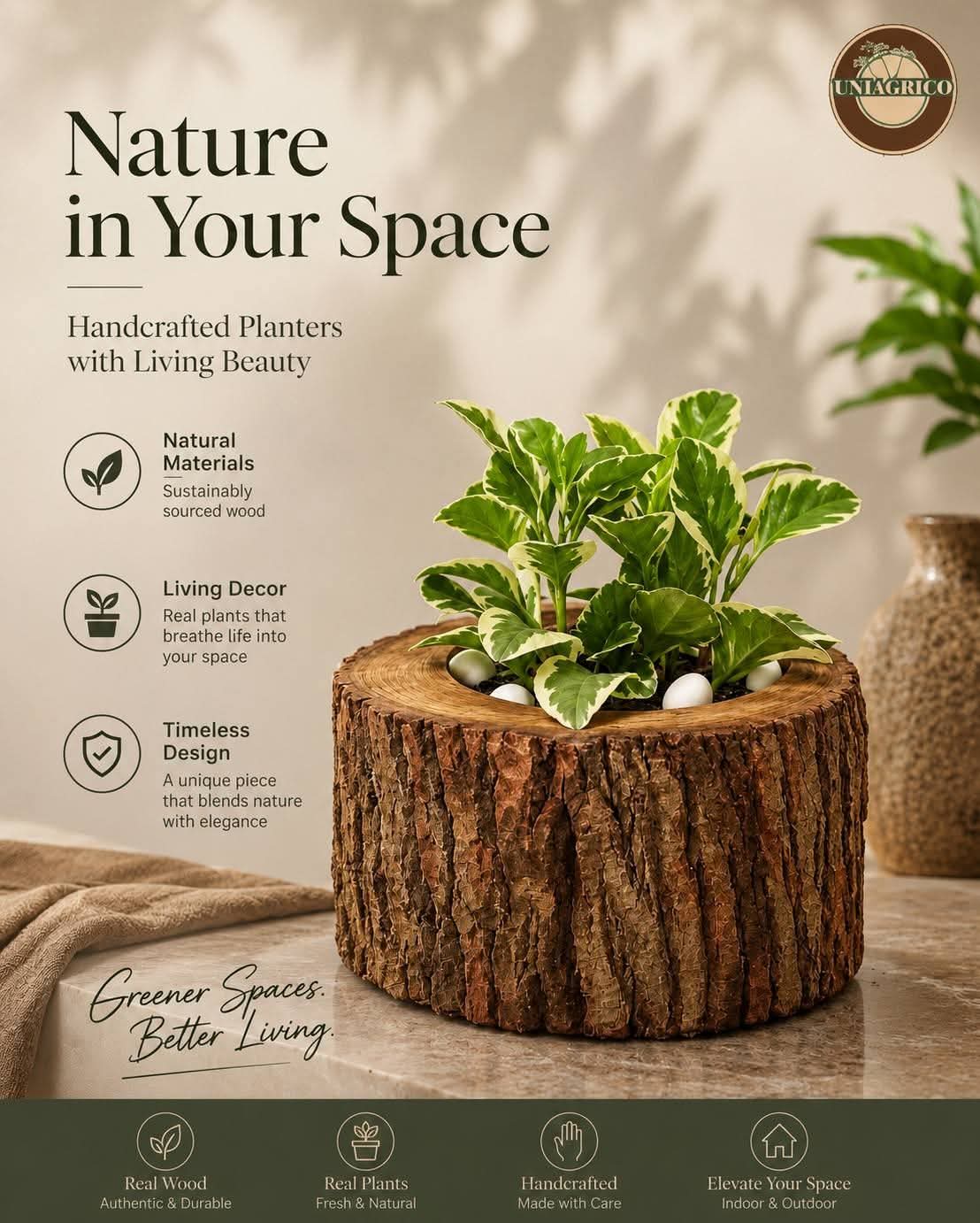 Natural tree-trunk planter with living plant
